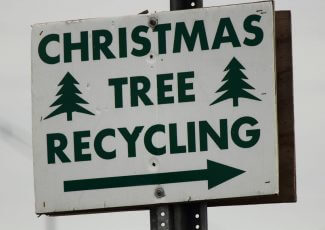 Xmas Aftermath: What To Do With Your Christmas Tree After Christmas