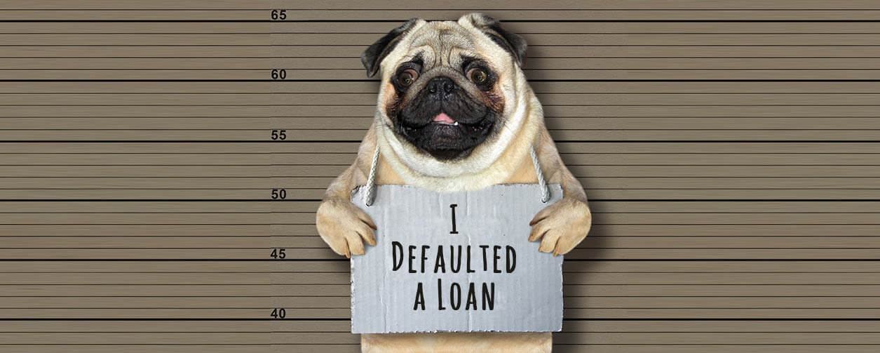 Student Loan Collections: The Breaking Bad Of Loan Servicers and The Perfect Escape Plan